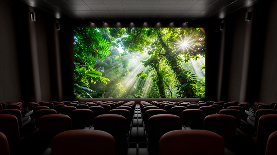 Cursos de inglés conversacionales para adultos mayores en Bogotá